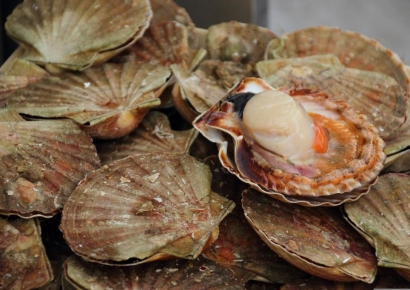 "주말에 먹으려 했다가 '화들짝'"…'치사율 50%' 치명적 감염증 첫 검출