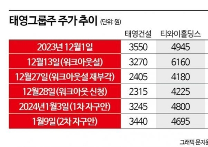 제자리 찾은 태영그룹株 '투자주의보'