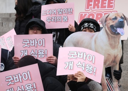 보신탕집·펫카페 찾아간 외신들…개식용금지법 집중조명