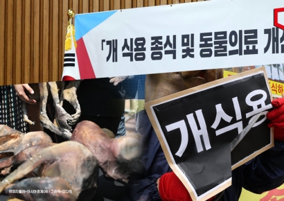 3년 뒤 사라지는 개고기…'보상금·식문화' 남은 문제들
