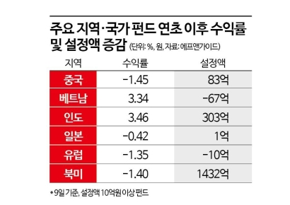 인도·베트남 펀드 올해도 장밋빛 