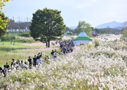 광주 서구 ‘서창억새축제’ 대한민국 축제콘텐츠 대상 수상
