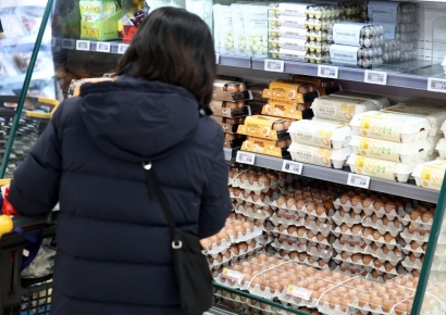 '金계란' 해명하고 '대형마트' 점검하고…설 물가 잡기 나선 정부