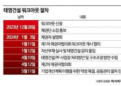 '처리방안' 최종 미제출 태영PF 사업장, '기업개선계획'에 임의 반영 방침