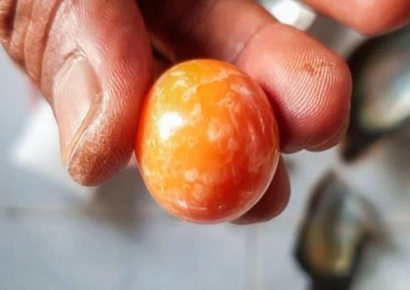 시장에서 산 조개 먹다 횡재… 6.8캐럿 천연 희귀 '멜로 진주' 나왔다