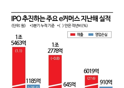 내실 튼튼해진 ‘e커머스’…IPO시장 다시 돌아오나