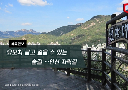 [하루만보]유모차 끌고 걸을 수 있는 숲길…안산 자락길