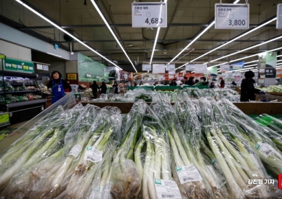 대파값 6천원 훌쩍…일본도 채소값 2배 껑충