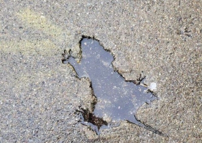 갑자기 늘어난 관광객들, 땅만 보며 걷는다…"쥐구멍 보러"
