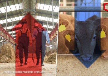 인건비 뛰고 한우값 뚝...여전히 팍팍한 농가살림 