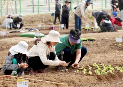 성동구, 무지개텃밭 및 다산농원 분양