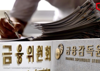 [제4인뱅]"신규인가 개수 심사 거쳐 결정"