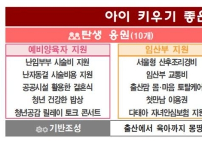 "서울서 낳으면 산후조리 무조건 100만원" 오세훈표 저출산 종합세트
