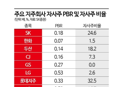 기업 밸류업 프로그램 도입에 지주회사 주가 ‘밸류 업’