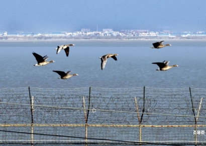 군 "북한 주민 1명 서해 NLL 넘어 귀순"