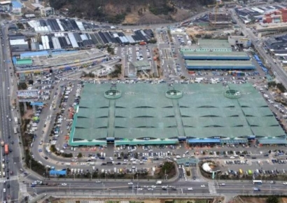 부산시, 농산물 잔류농약 안전성 검사결과 … 설 명절 다소비 농산물 99.1% 허용기준 ‘적합’