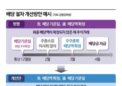 [단독]기업 밸류 프로그램에 '선(先) 배당액·후(後) 배당일' 포함 유력