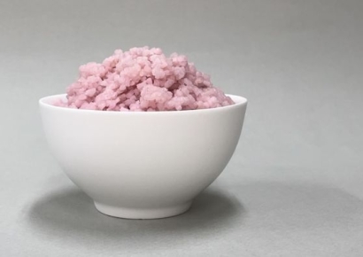"진짜 쇠고기 맛이야"…한국 연구진, 분홍색 '쇠고기 쌀' 개발
