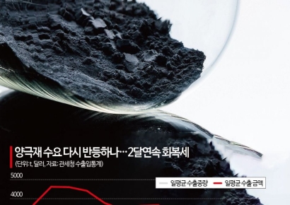 [보죠, 배터리]양극재 수출 최악 탈출…2월 48% 급증