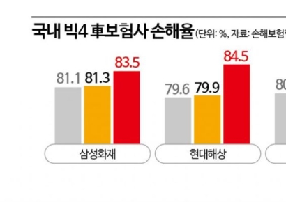 1월 빅4 車보험 손해율 82.5%로 악화…"손익분기점 벗어나"