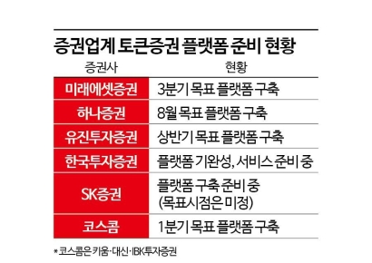 토큰증권 법 통과 깜깜…증권업계 수십억 비용 고민