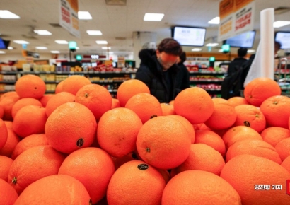 골목상권에도 수입과일 직수입 물량 푼다…최대 20% 할인