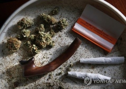 대마초 부분적으로 합법화하는 독일…세계에서 9번째