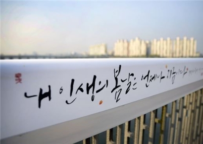 "여초 때문에 남성 사망 증가" 韓 시의원 발언…외신도 놀랐다