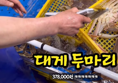 대게 두 마리 38만원·킹크랩 54만원…바가지 다신 안한다더니 또 