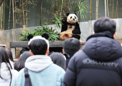 "꽃샘추위에 7시간 대기가 대수냐"…푸바오 마지막 보러 '바글바글'