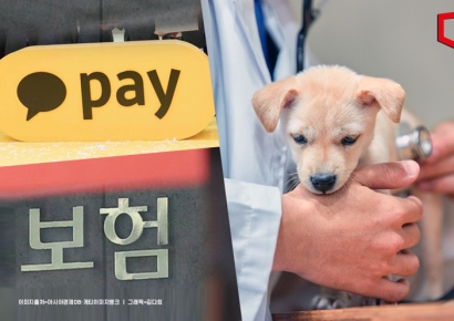 [단독]카카오페이, 4월 펫보험 출격…손보사 빅5 손잡았다