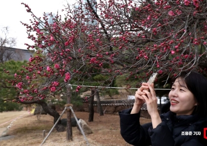 [포토] 휴대폰에 담아보는 봄