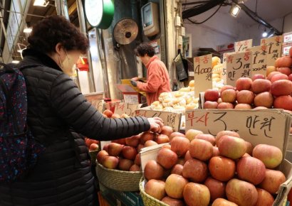 사과, 세계에서 제일 비싸니까…과일 소비 줄이는 한국인들