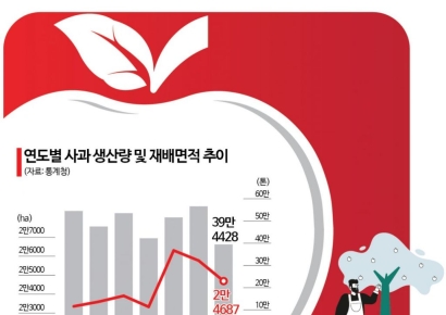 '애플레이션' 6월까지 간다는데…사과 수입은 왜 안되나요?