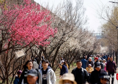 [포토] 봄 향기 가득한 산책로