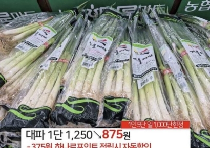 尹대통령 '875원 대파' 논란…"사례 있다 vs 세상 물정 몰라"
