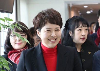 "똑부러진 한동훈 어디갔나…가족이 썼냐, 안 썼냐" 저격한 김은혜