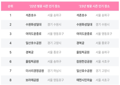 AI가 알려주는 벚꽃 시즌…"인기 명소 1위는 석촌호수"