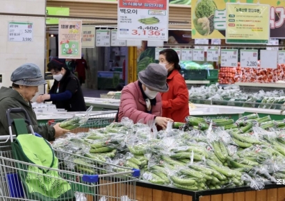"쌈 없이 고기만 먹어야 할 듯"…장마철 채소값 폭등 어쩌나
