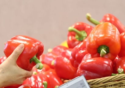 "총선 끝나면 물가 더 오르나"…소비자 불안감 커지는 이유[조선물가실록]