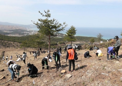 [포토] 유한킴벌리, 신혼부부 나무 심기