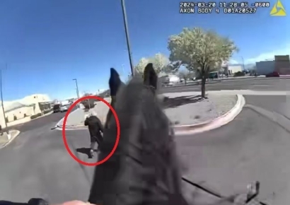 '끈끈이 손'으로 물건 훔친 미국 도둑, 기마경찰에 붙잡혀