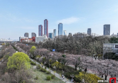 [포토] 조금 아쉬운 여의도 벚꽃축제