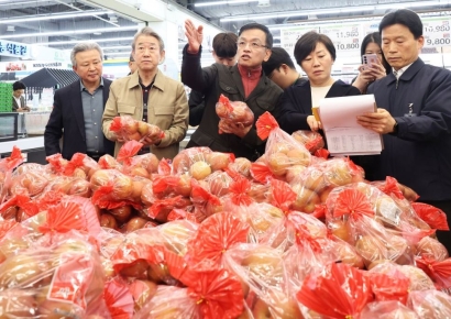 최상목 경제부총리 "다음달부터 물가 하향 안정화"