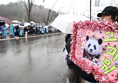 [포토] 푸바오 배웅하는 시민들