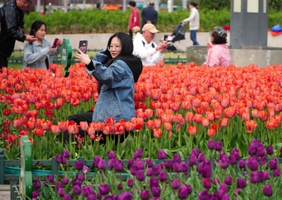 中 차이신 서비스업 PMI 52.7…15개월 연속 확장국면