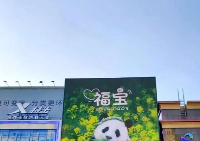 "울면서 보내고 웃으며 맞고"…푸바오 귀국에 대륙이 들썩