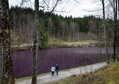 햇볕 뜨거우면 호수로 달려가는 사람들…보랏빛 호수, 독일서 화제