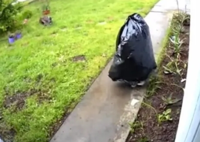 "쓰레기봉투에 발이 달렸네"…미국서 황당한 택배도둑 등장