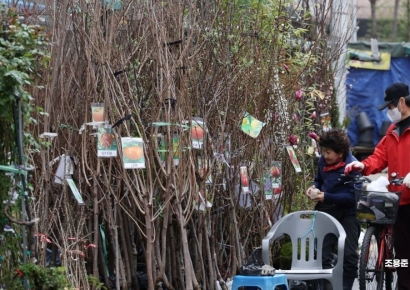 [포토] 식목일 나무 심어 볼까